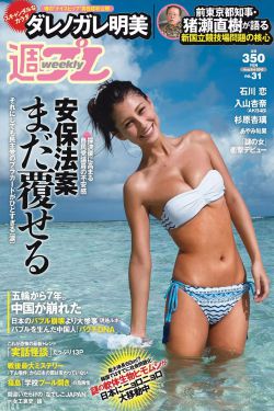 锦绣安宁 电视剧